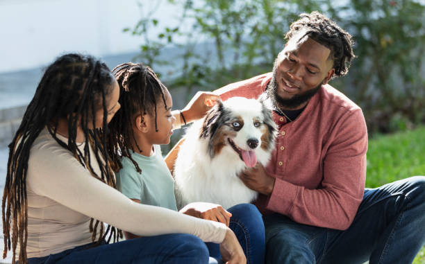 Australian Shepherd with family and children outdoors
