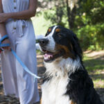 First-time dog owner with a friendly and easy-to-train dog